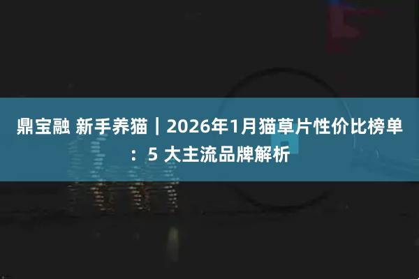 鼎宝融 新手养猫｜2026年1月猫草片性价比榜单：5 大主流品牌解析